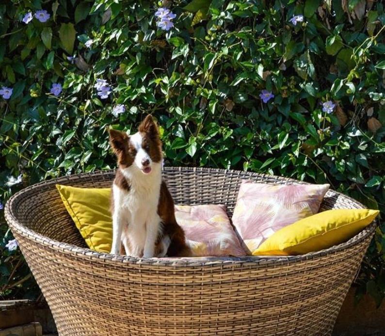 Villa Aye Pousada Boutique Petfriendly Сокорру Экстерьер фото
