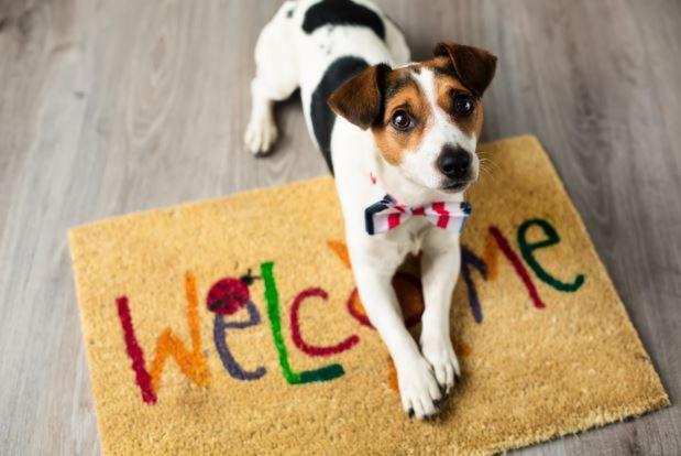 Villa Aye Pousada Boutique Petfriendly Сокорру Экстерьер фото